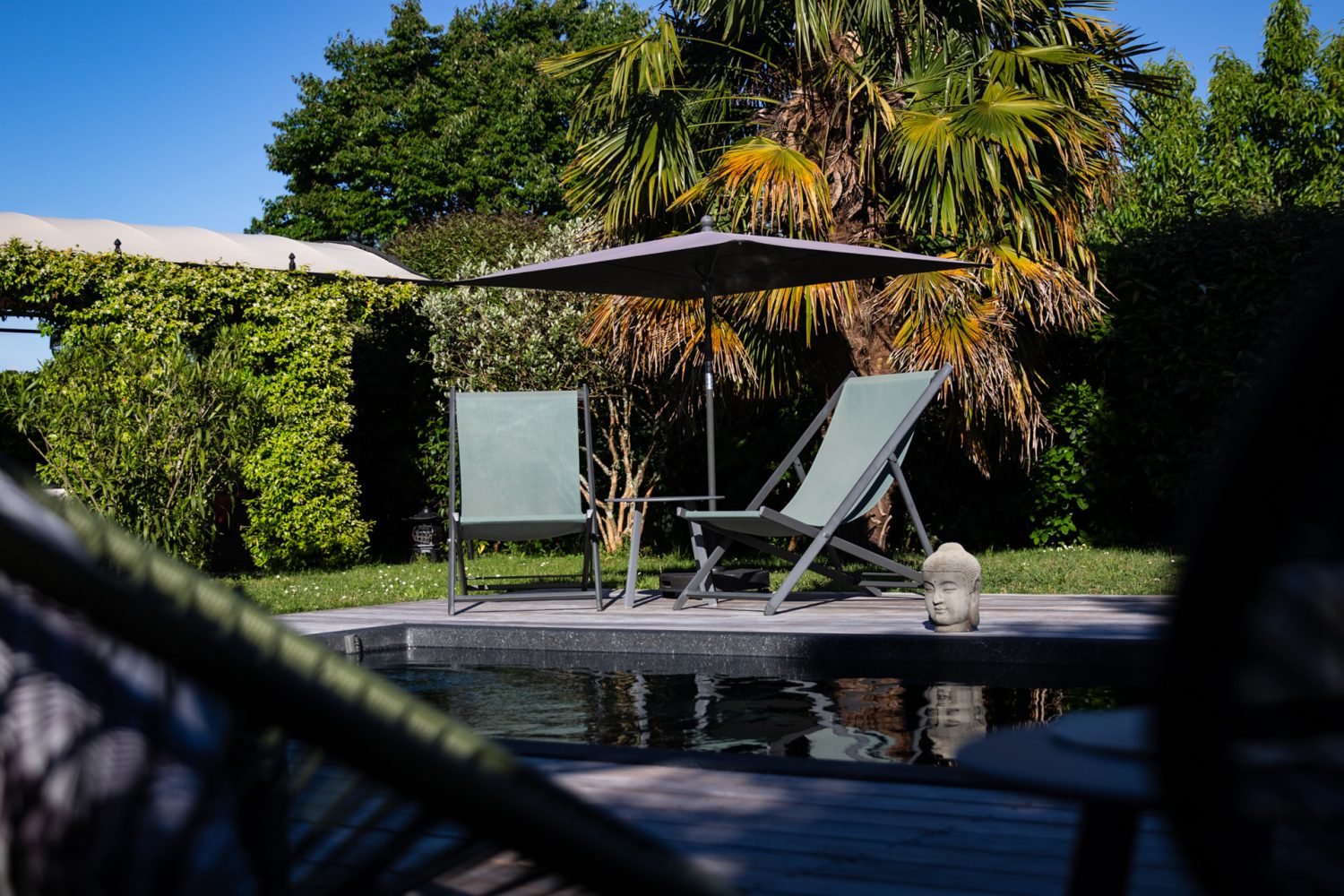 Piscine et transats sous parasol entourés de verdure, chambres d’hôtes avec piscine à Sarlat