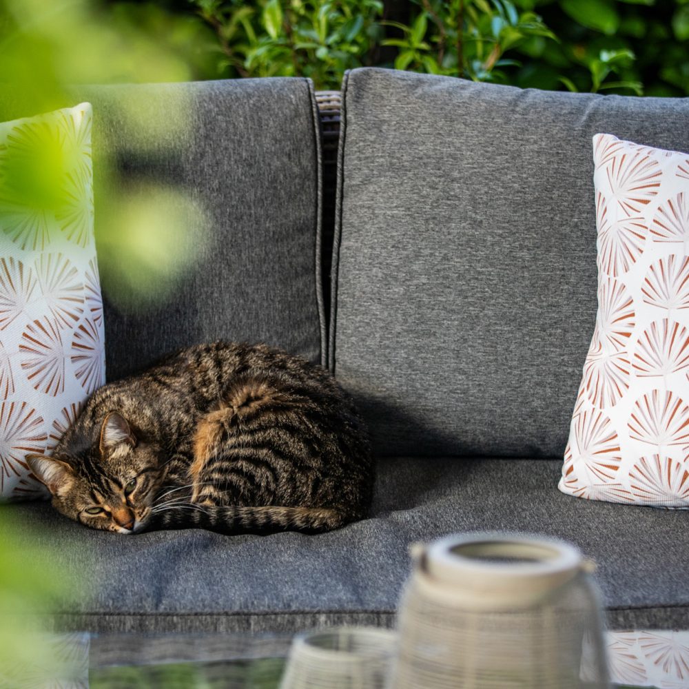 Salon d’extérieur avec coussins et chat endormi, maison d’hôtes à Sarlat en Périgord