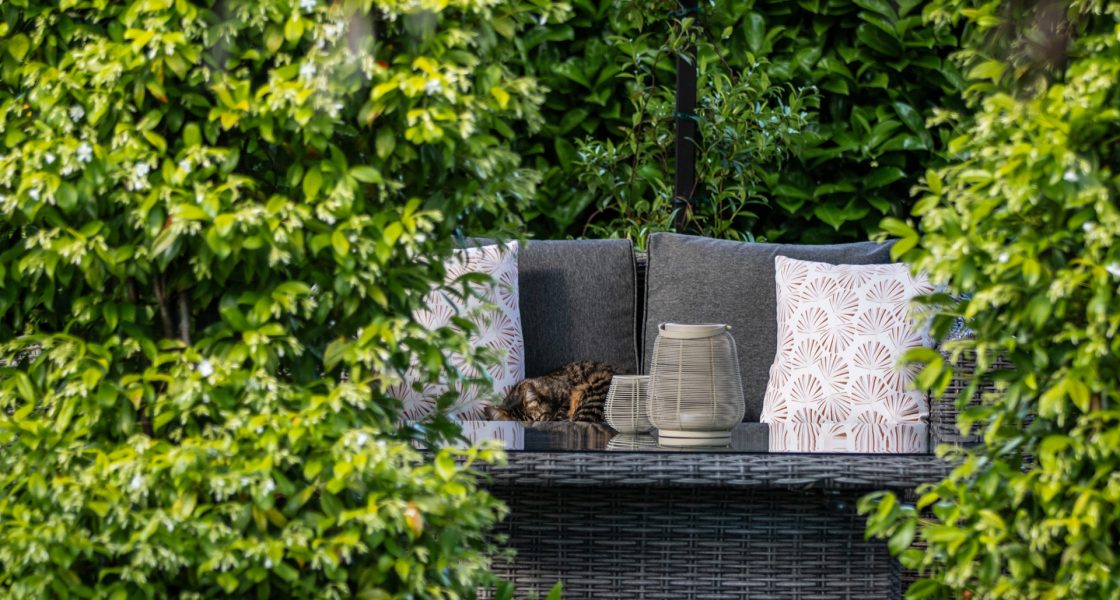 Mobilier de terrasse et décoration parmi la verdure, maison d’hôtes à Sarlat