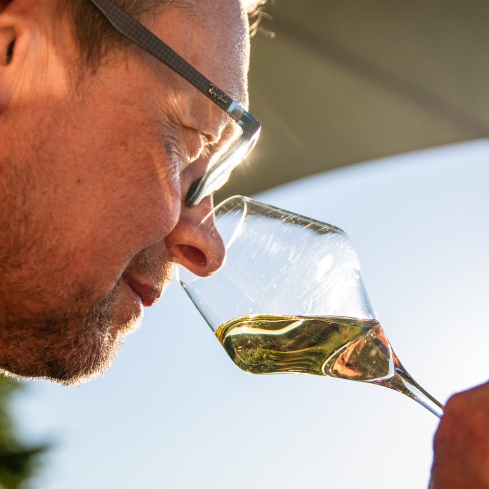 Dégustation et examen olfactif d'un vin blanc à l'atelier d'œnologie près de Sarlat